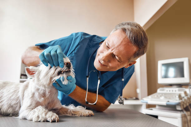 Best Dentist Open Late Near Me  in Lake Clarke Shores, FL